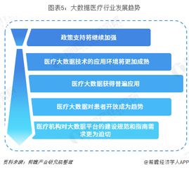 大數(shù)據(jù)服務(wù)在醫(yī)療領(lǐng)域的應(yīng)用與發(fā)展